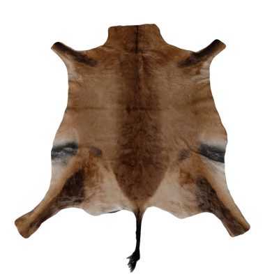 Hartebeest coat