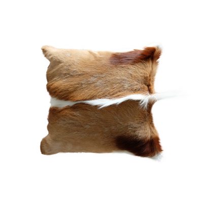 Springbok pillow