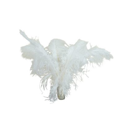 witte struisvogelveer